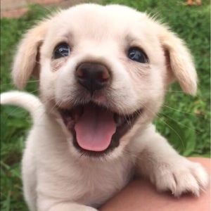 Meet your Posher, Joanna